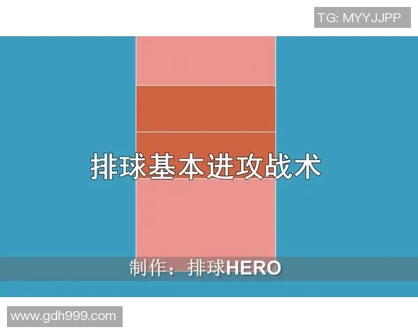 深圳排球队防反体系解析与战术创新探讨